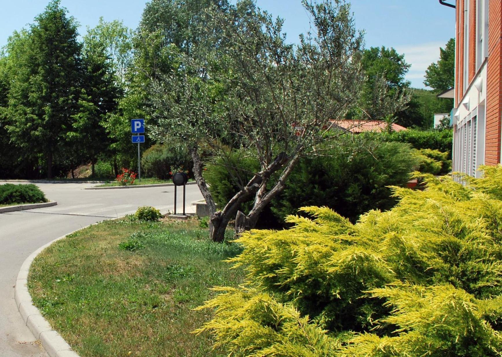 Bed And Breakfast Kogoj Nova Gorica Bagian luar foto