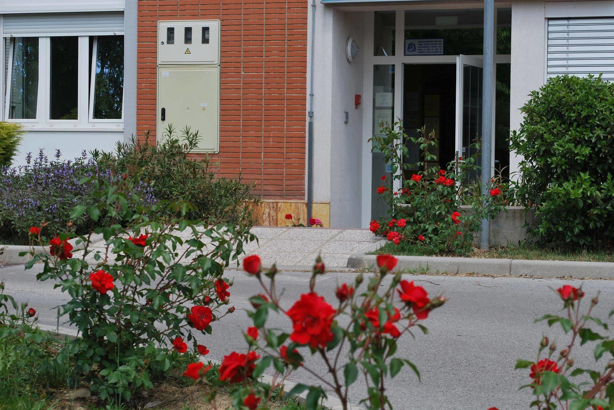 Bed And Breakfast Kogoj Nova Gorica Bagian luar foto