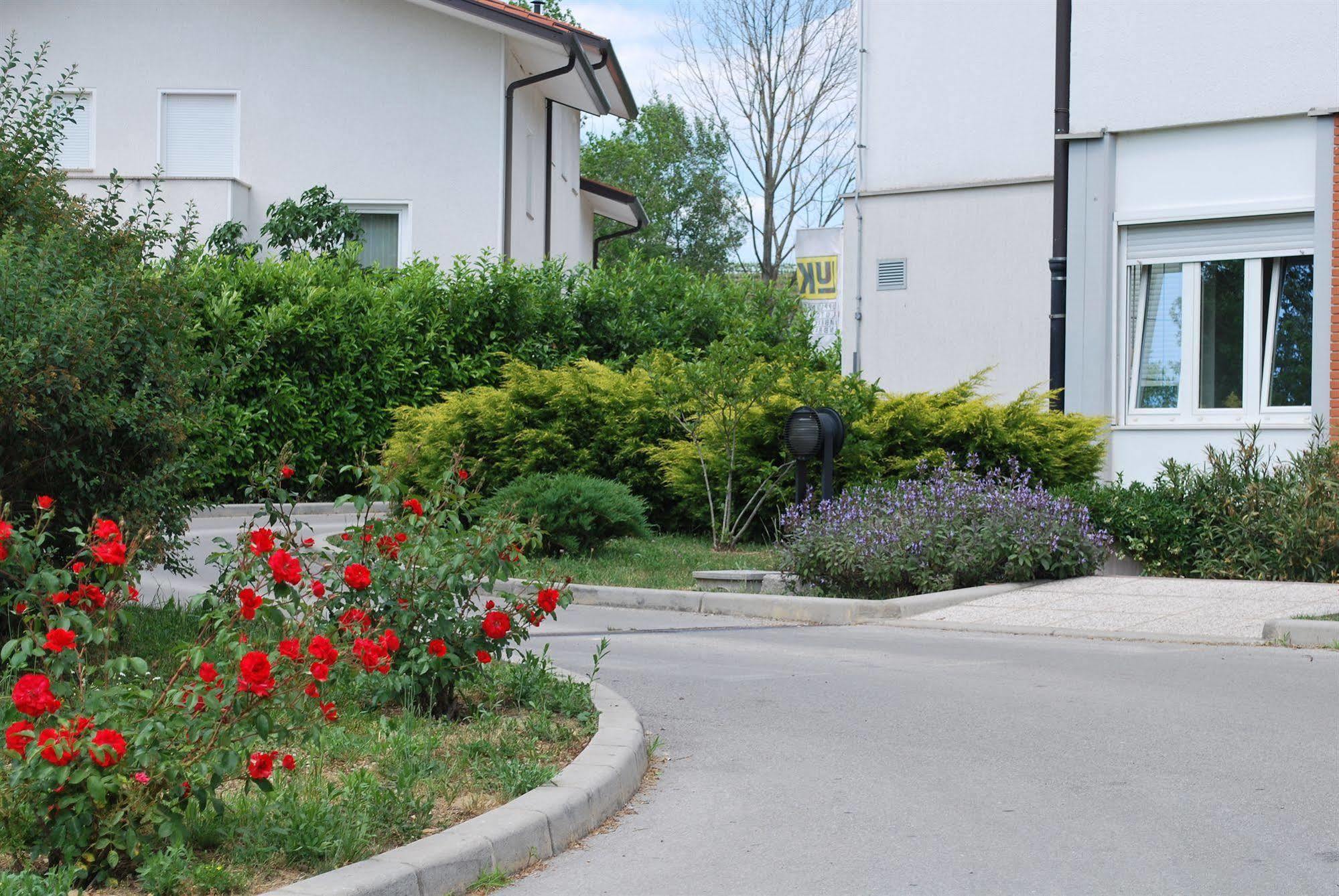 Bed And Breakfast Kogoj Nova Gorica Bagian luar foto